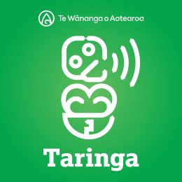 RCR_taringa