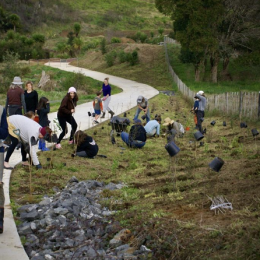 Screenshot 2025-11-07 at 1.06.14 PM